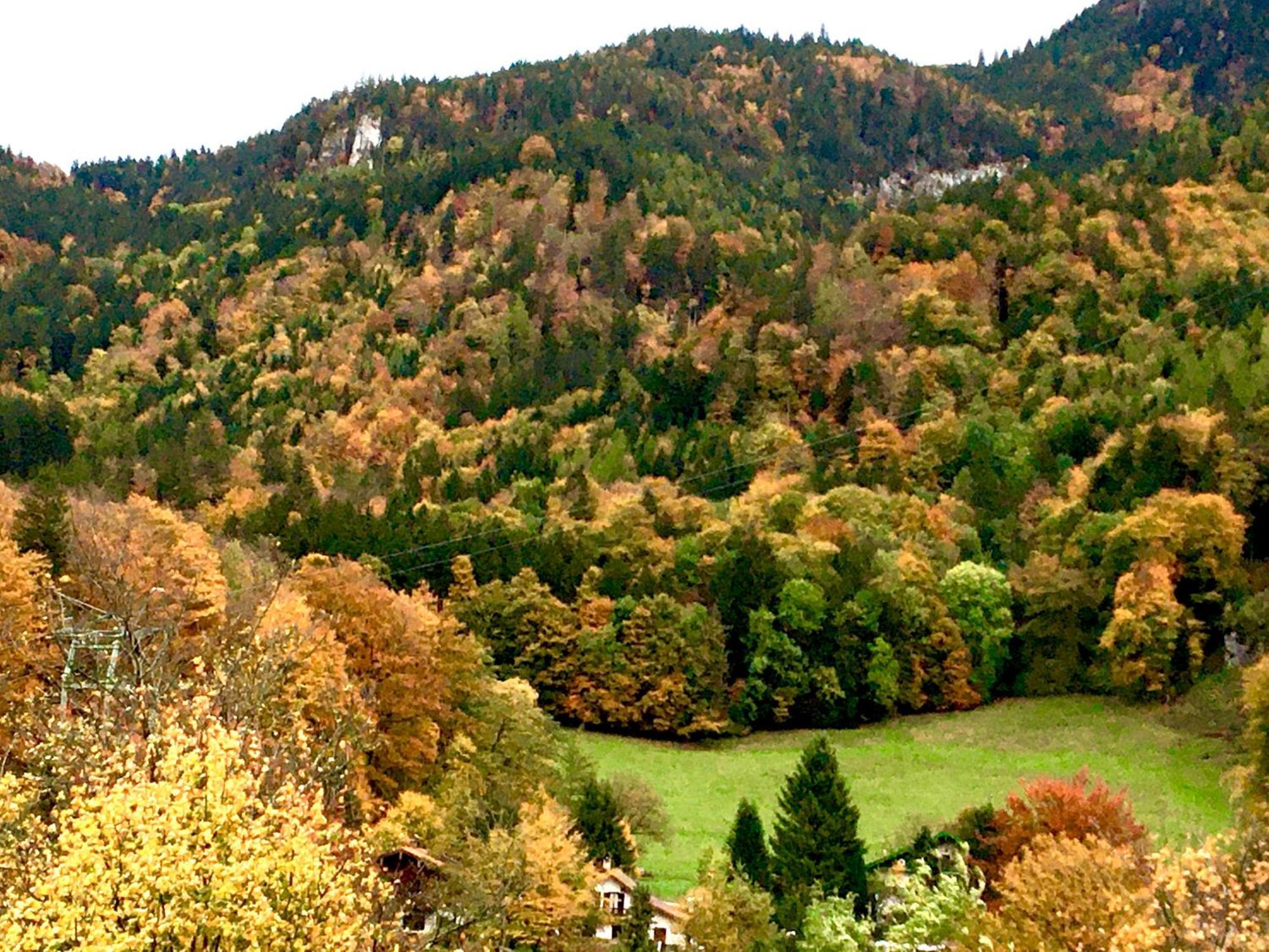 Appartment Schloss-Zeit Aschau im Chiemgau Rom bilde